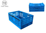 Πτυσσόμενο πτυσσόμενο πλαστικό κλουβί για τη βιομηχανία τροφίμων, κλουβιά φρούτων και λαχανικών