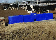 Θερμο αυτόματη γούρνα νερού LLDPE για τα βοοειδή/το χοίρο 6M αντιψυκτικό ελεύθερο 40L - 80L
