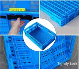 Πτυσσόμενο πλαστικό διανομής χρησιμότητας PP που διπλώνει το κλουβί για την αποθήκευση υπεραγορών/σπιτιών
